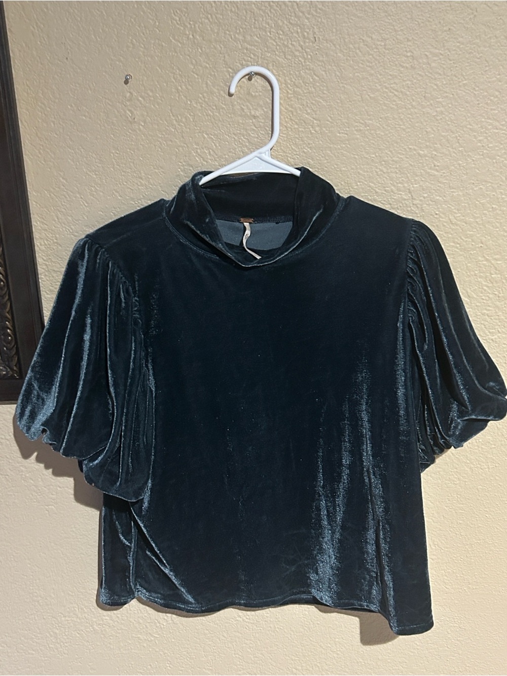 Free People Claudia Velvet Puff Sleeve Top Size Large